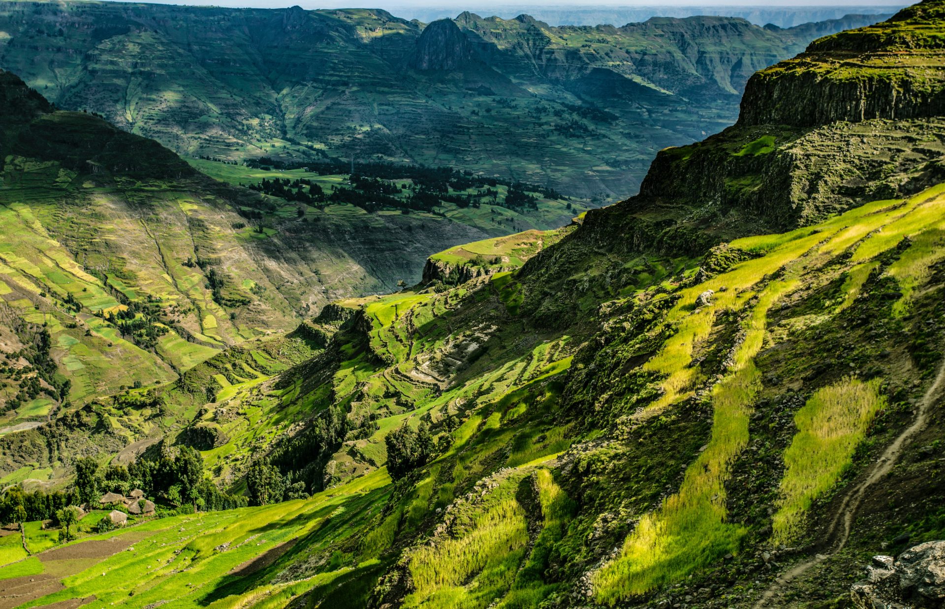 ethiopian highlands ecosystem        
        <figure class=