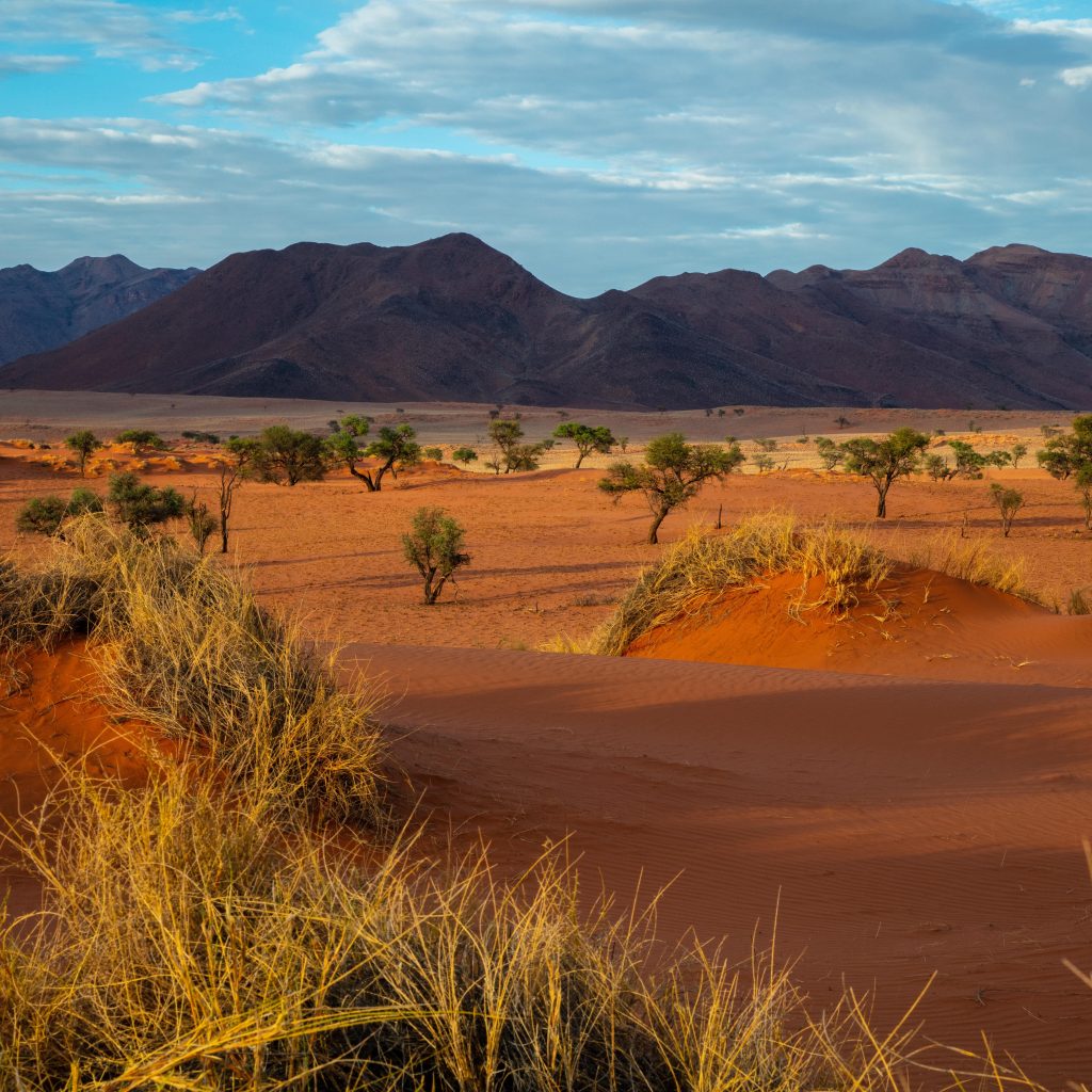 Namibia Homeland 2 - Reisebericht Namibia Afrika