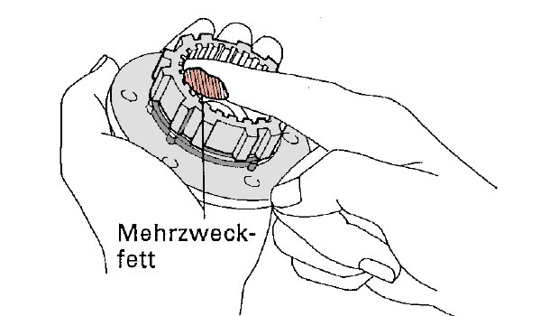 ausbau_freilaufnarbe_07